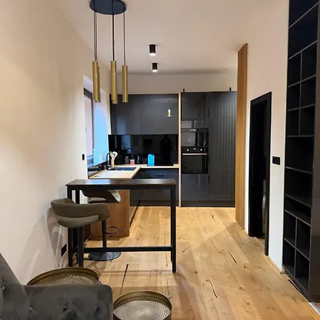 Studio Apartment * オストラヴァ